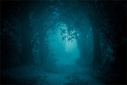 Frau mit Büchern Motiv